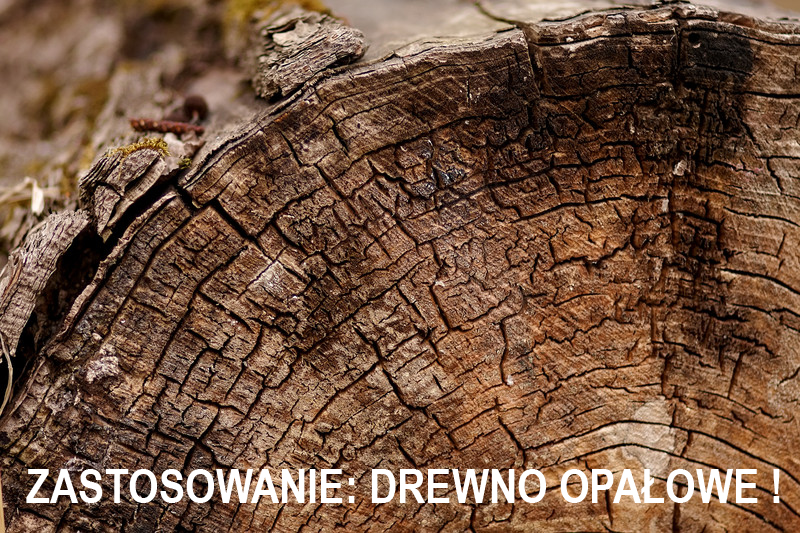 Zabieg ochronny do kł&oacute;d i desek. Ochrona przed otarciami, ochrona przed pękaniem, ochrona przed sinizną, ochrona przed czernieniem. Gotowy do użycia. iBiotec BIO PROTECT 450. Produkt do drewna. Ochrona drewna przed otarciami. Ochrona drewna przed pękaniem. Ochrona drewna przed sinizną. Ochrona drewna przed czernieniem. Przetw&oacute;rstwo drewna. Pierwszy etap przetw&oacute;rstwa drewna